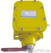 JHSL-A、JHSL-B縱向撕裂保護(hù)開(kāi)關(guān)廠家直銷(xiāo)