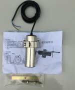 山東速度傳感器RLK31工廠店直供 山東速度傳感器RLK31工廠店直供