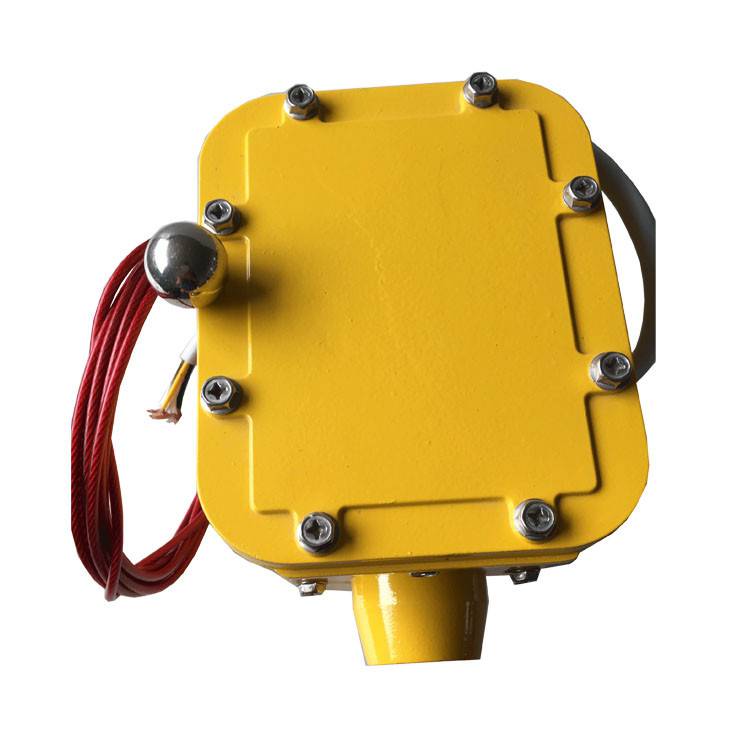 皮帶縱向撕裂檢測器SCPT-180-30、皮帶縱向撕裂檢測裝置ZL-B-II-100生產(chǎn)